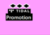do viral organic tidal  music promotion