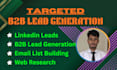 do targeted b2b lead generation, targeted list and enrichment