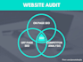 provide professional website audit report