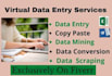 do data entry, data management and data collection