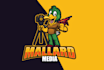 do modern cartoon, character, and mascot logo design