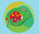 design cute cartoon character in flat color vector
