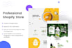 create professional shopify store