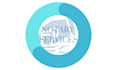 provide remote online notary services