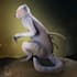 do 3d character or creature