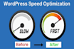 speed up wordpress or any website for google pagespeed insights