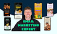 manage your klaviyo email marketing camaigns for your shopify store
