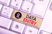 do data entry work for you on your cloud base accounting software
