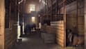 make 3d environment renders and animations