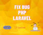 fix bug, build website laravel all version