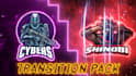 create twitch overlay, twitch panels, twitch animation, twitch offline screen
