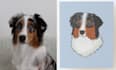 draw your pet in my style