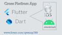 excellent flutter app creation