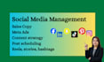 do social media management, ad copy, ad campaigns