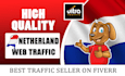drive real netherlands  targeted web traffic