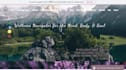 design a wix templated website