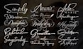 design script calligraphy stylish handwritten signature logo