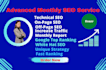provide monthly white hat SEO service for google top ranking