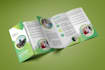 make for you beautifully arranged business brochure designs