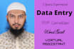 do advanced data entry with excel for any organization