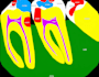 do dental image annotations accurately as a dentist for your ai