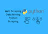 do web scraping, data mining, data extraction and python web scraping