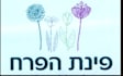 make a unique logo design in hebrew languag