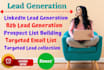 accumulate email, contact and b2b lead gen