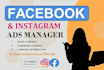 setup facebook ads campaign and manage meta ads professionally