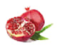 professional fruit and flower illustrations in vector format