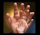 release your inherited emotion