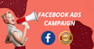 setup and optimize facebook ads campaign