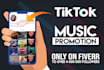 make tiktok music promotion to our large followers