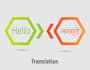 translate english into hindi and vice versa