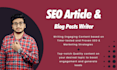 be your SEO articles and blog posts writer