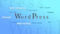 design stylish wordpress website design, online stores