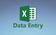 do excel data entry within 24 hours