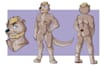 draw you a fullcolor fursona sheet