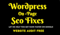make wordpress SEO fixes for google rankings on top serp pages with site audit
