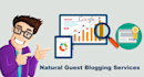 write blog post and submit in high da sites