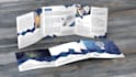 design flyer, bifold or trifold brochure