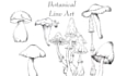 create botanical and medical ink line art