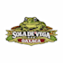 do embroidery digitizing into dst, pes, jef, emb in 1 hour