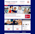 fix,develop joomla website and theme customization