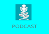 do promote your podcast music professionally