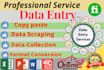 do data entry expert and copy paste job