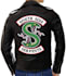 do embroidery digitizing into dst,pes files in one hour