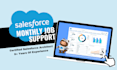 do monthly job support for salesforce