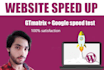 website optimize, gtmetrix and google page speed up