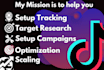 be your tiktok ads expert to double your revenue